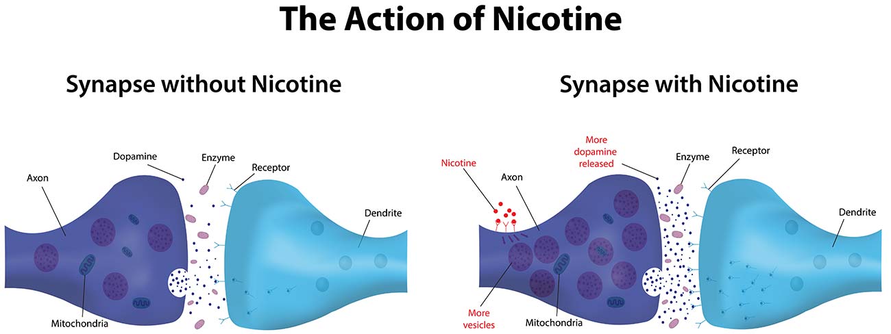 nicotine-withdrawal-symptoms-timeline-and-coping-skills-cbq-method