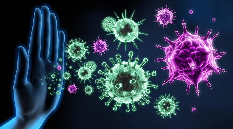 immune system against coronavirus