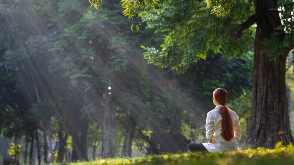 Managing Stress & Anxiety: How to Regulate Your Emotions and Feel Calmer — masterclass thumbnail